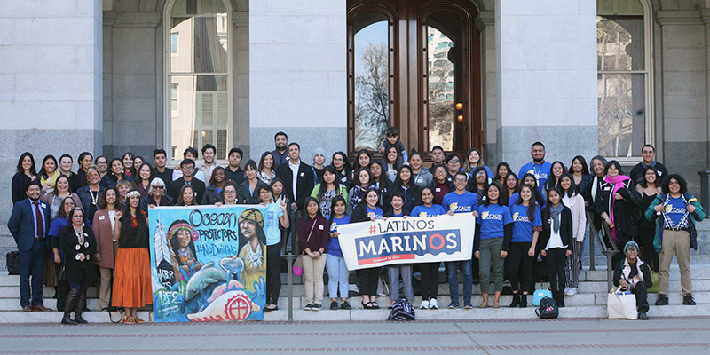 azul, latinos marinos,