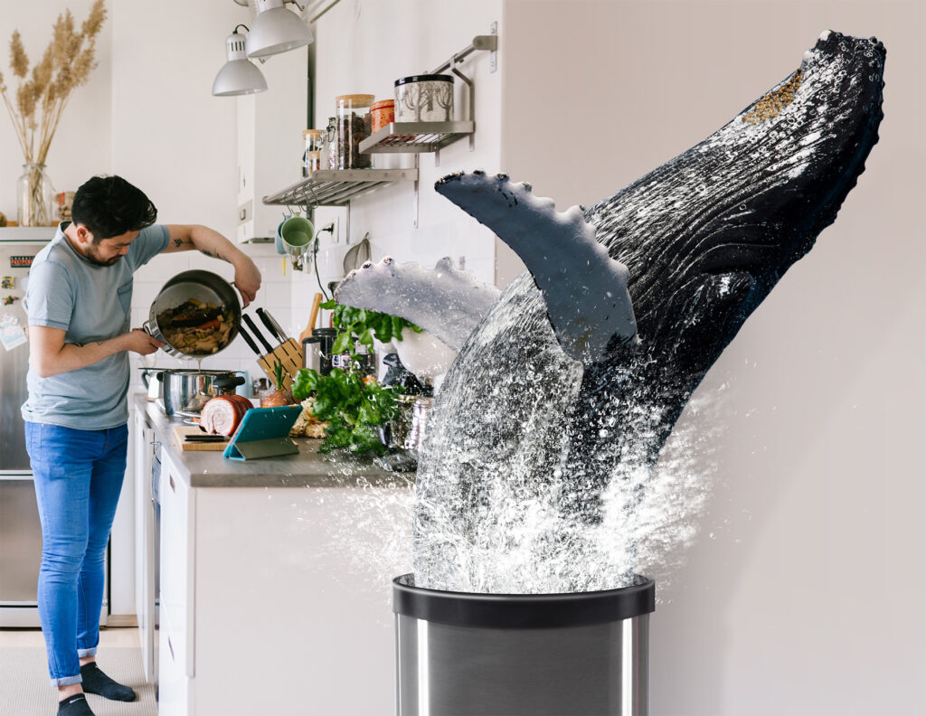 Composting in rhode island, composting good for ocean