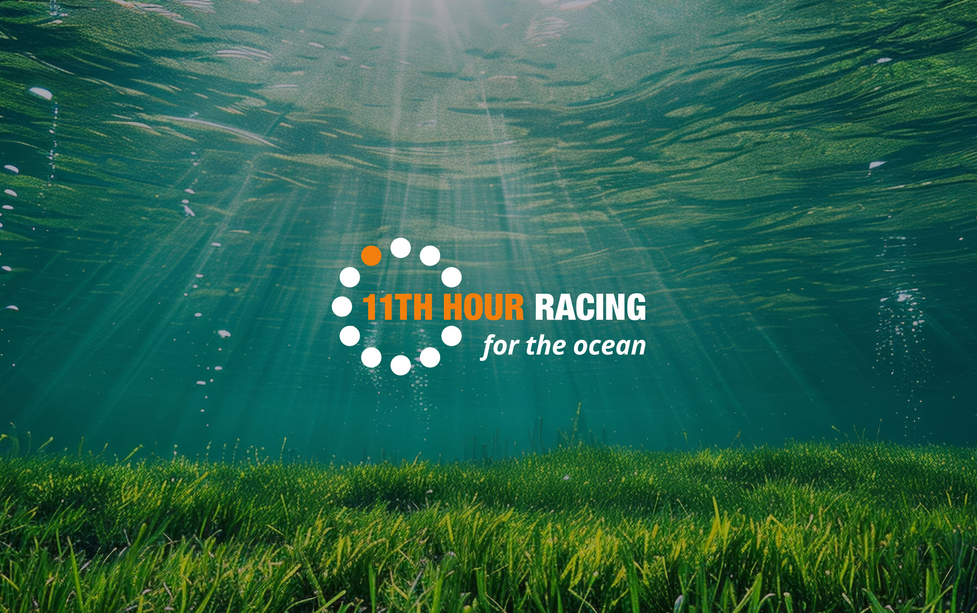 Underwater field of sea grass. 11Th hour log with the tagline, For the Ocean